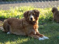 k-IMG 4999
