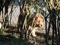 k-IMG 5076