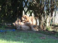 k-IMG 5088