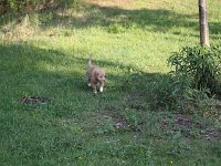 k-IMG 5284