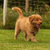 IMG_20230726_102356_814