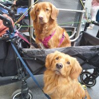 IMG_20240421_220502_856