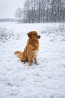 file_00000000c458724389f347f3be92d698